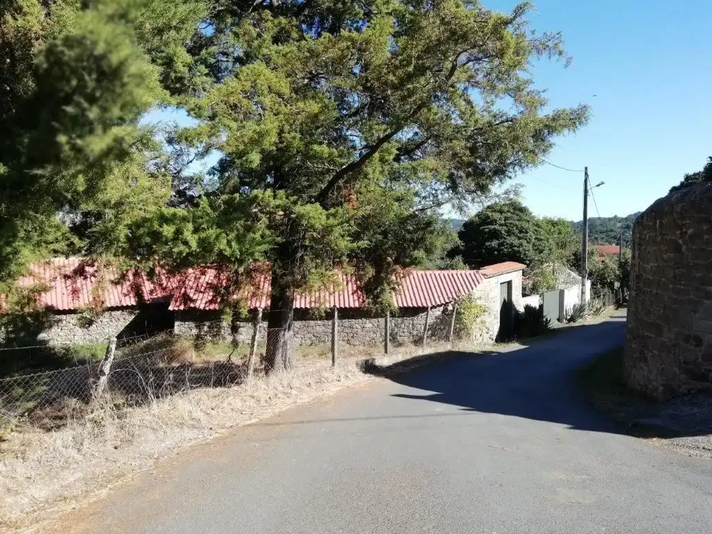 Vista exterior de Casa o chalet en venta en Silleda con Jardín privado
