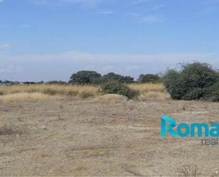 Industrial land for sale in Ávila Capital