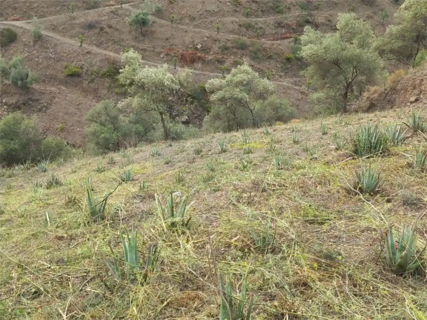 Terreno en venta en Árchez