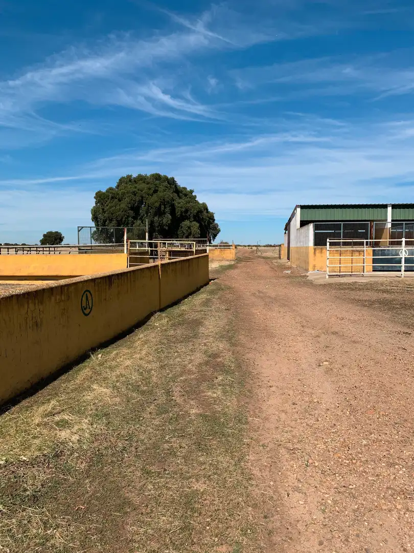 Land for sale in Calle Hernán Cortés, 20, Jaraicejo