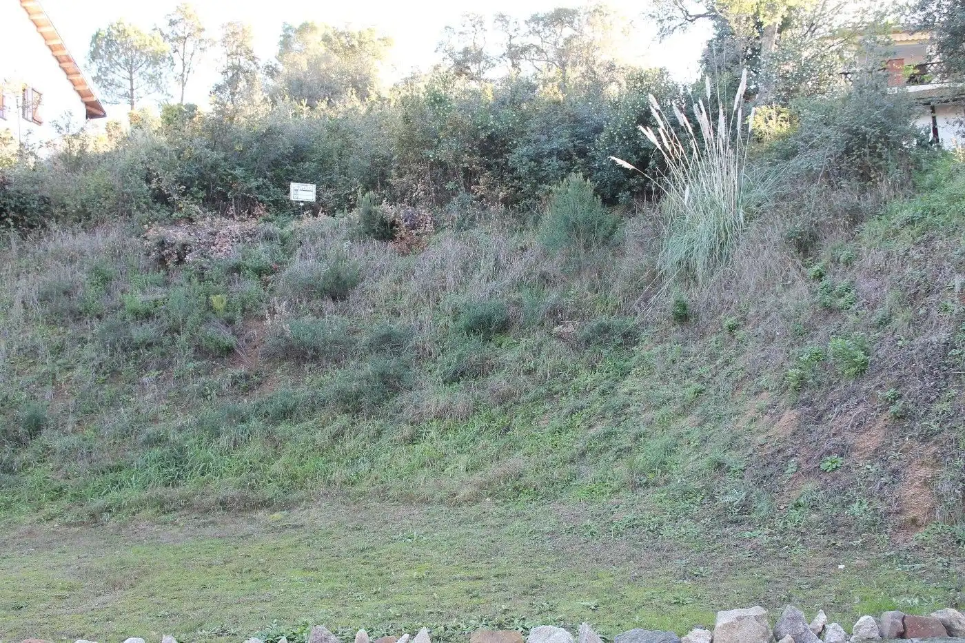 Terreno residencial en venta en Carrer Llenega Blanca 16, imagen 4