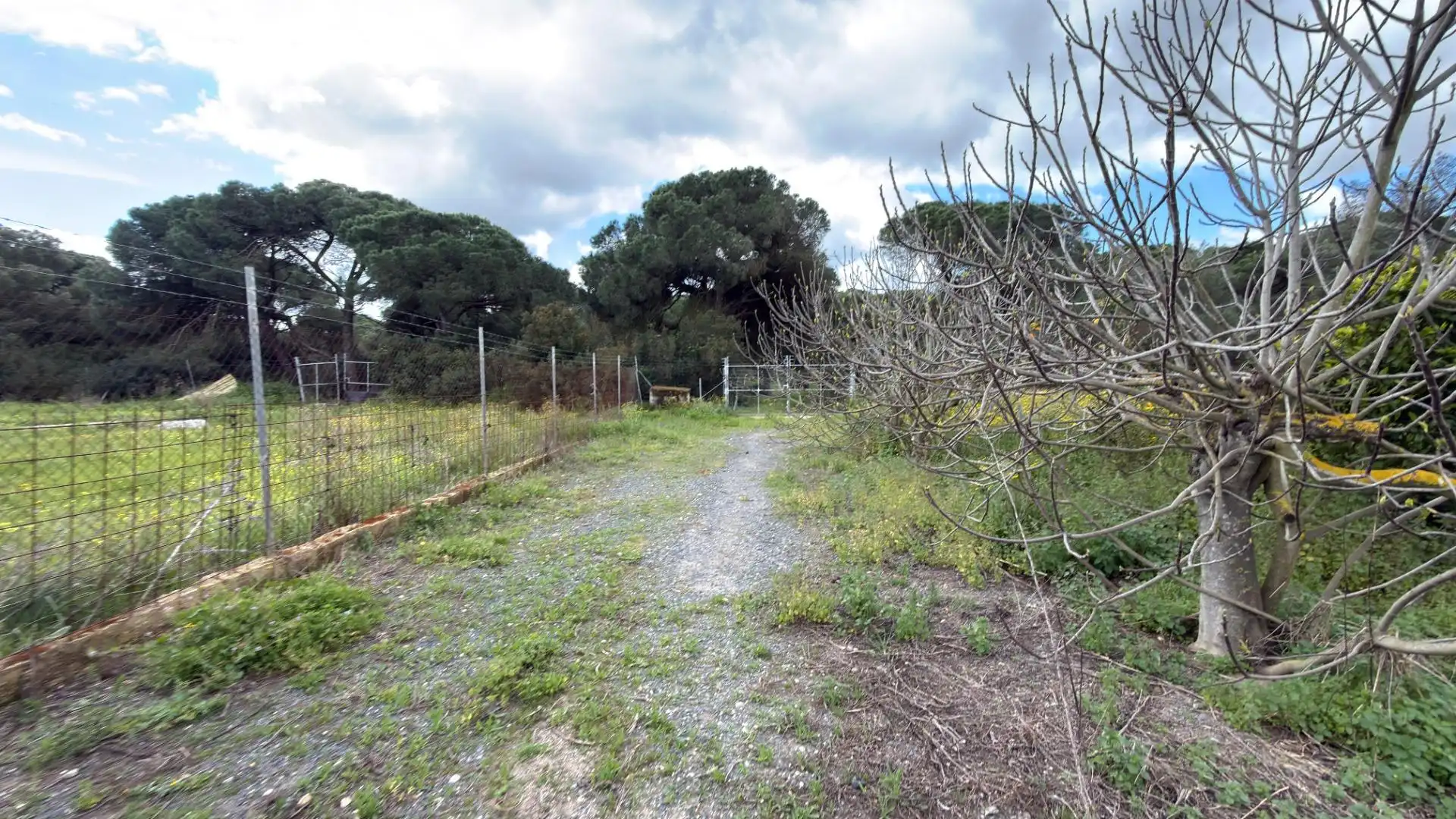 Finca rústica en venta en Punta Umbría