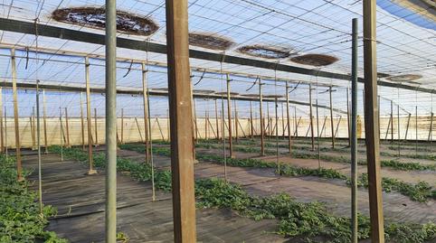 Photo 2 of Residential for sale in Níjar pueblo, Níjar