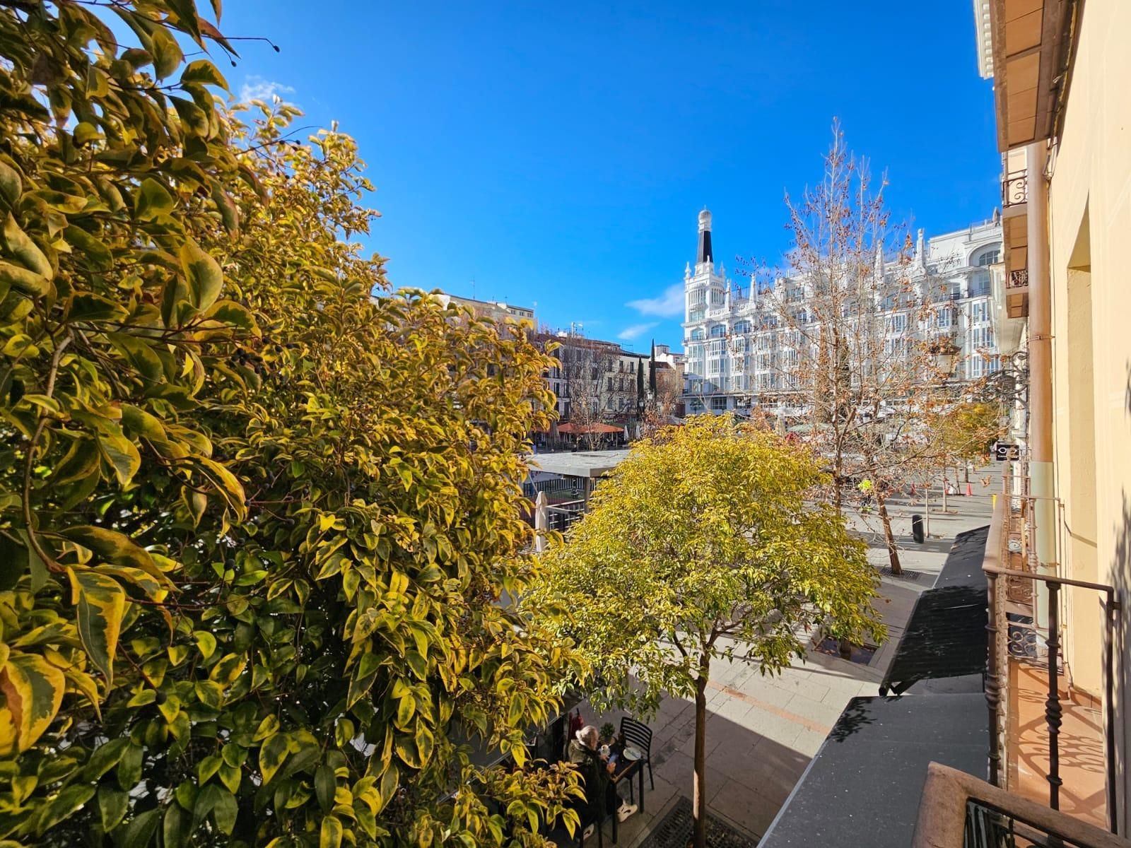 Apartment to rent in Plaza de Santa Ana, Cortes - Huertas