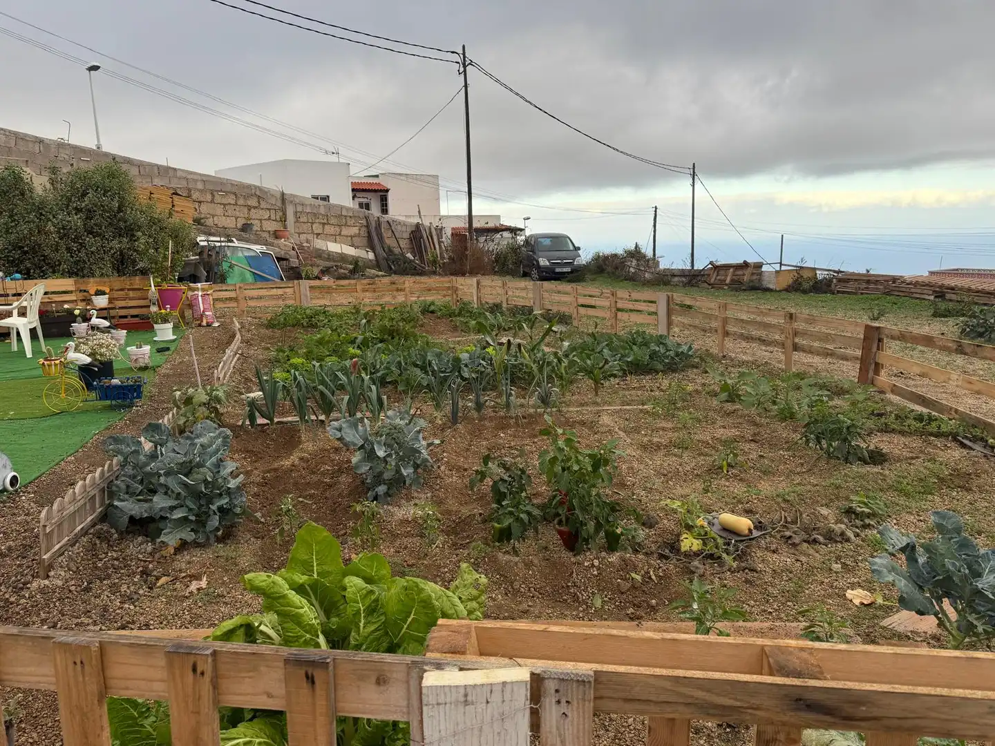 Garden of Residential for sale in Fasnia