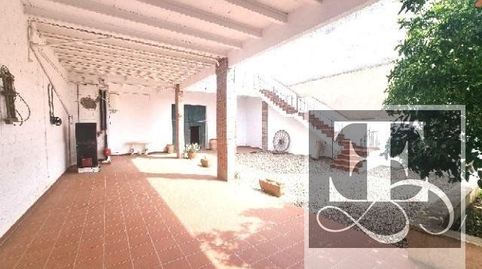 en Salomo, imagen 5