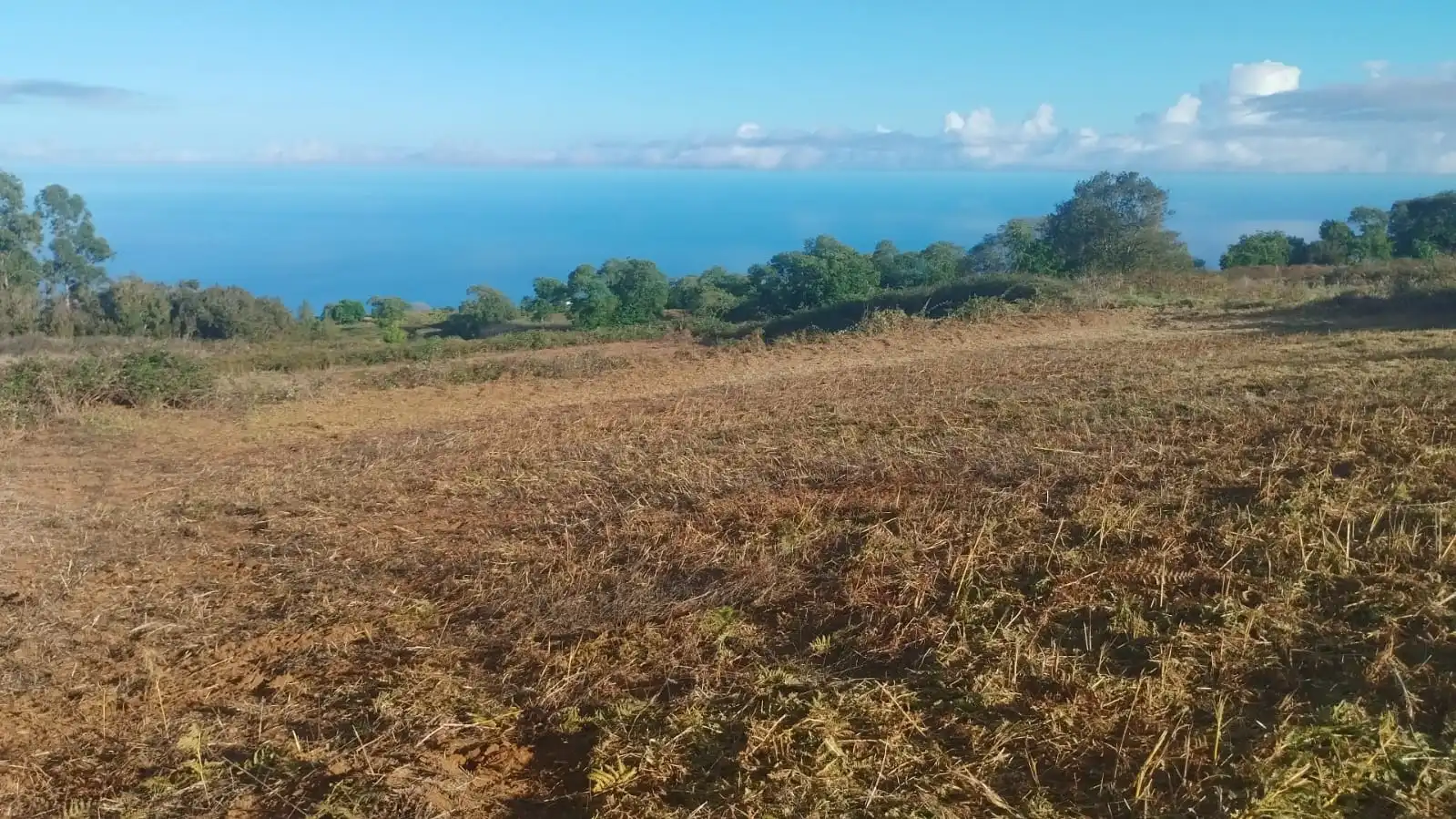 Rural land for sale in El Sauzal, imagen 4
