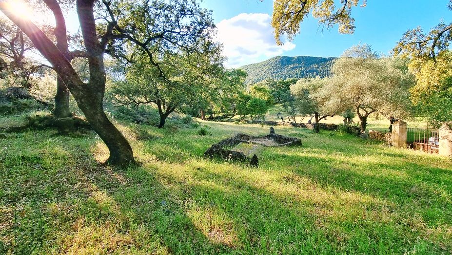Land for sale in Linares de la Sierra