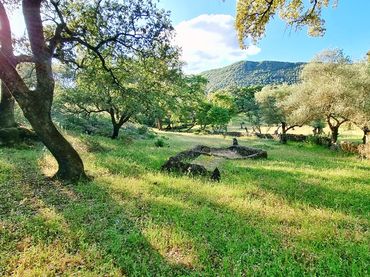 Terreno rustico in vendita a Linares de la Sierra