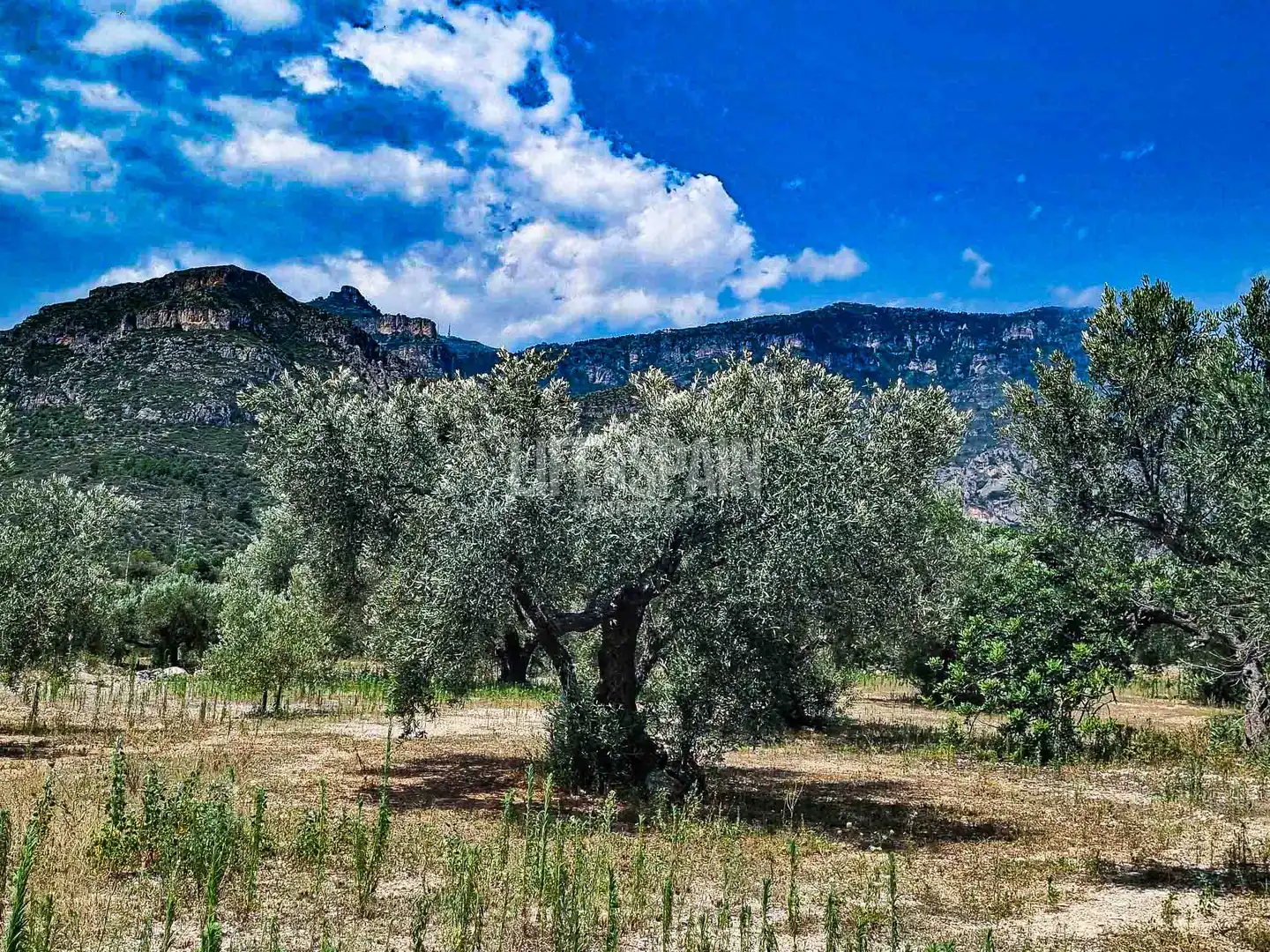 Maison rustique à vendre à Roquetes, imagen 2