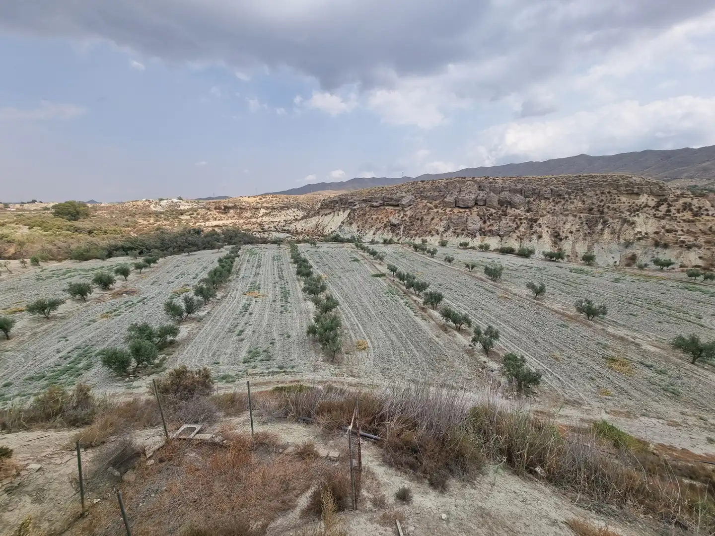 Rustikales Grundstück zum Verkauf in Tabernas, imagen 4