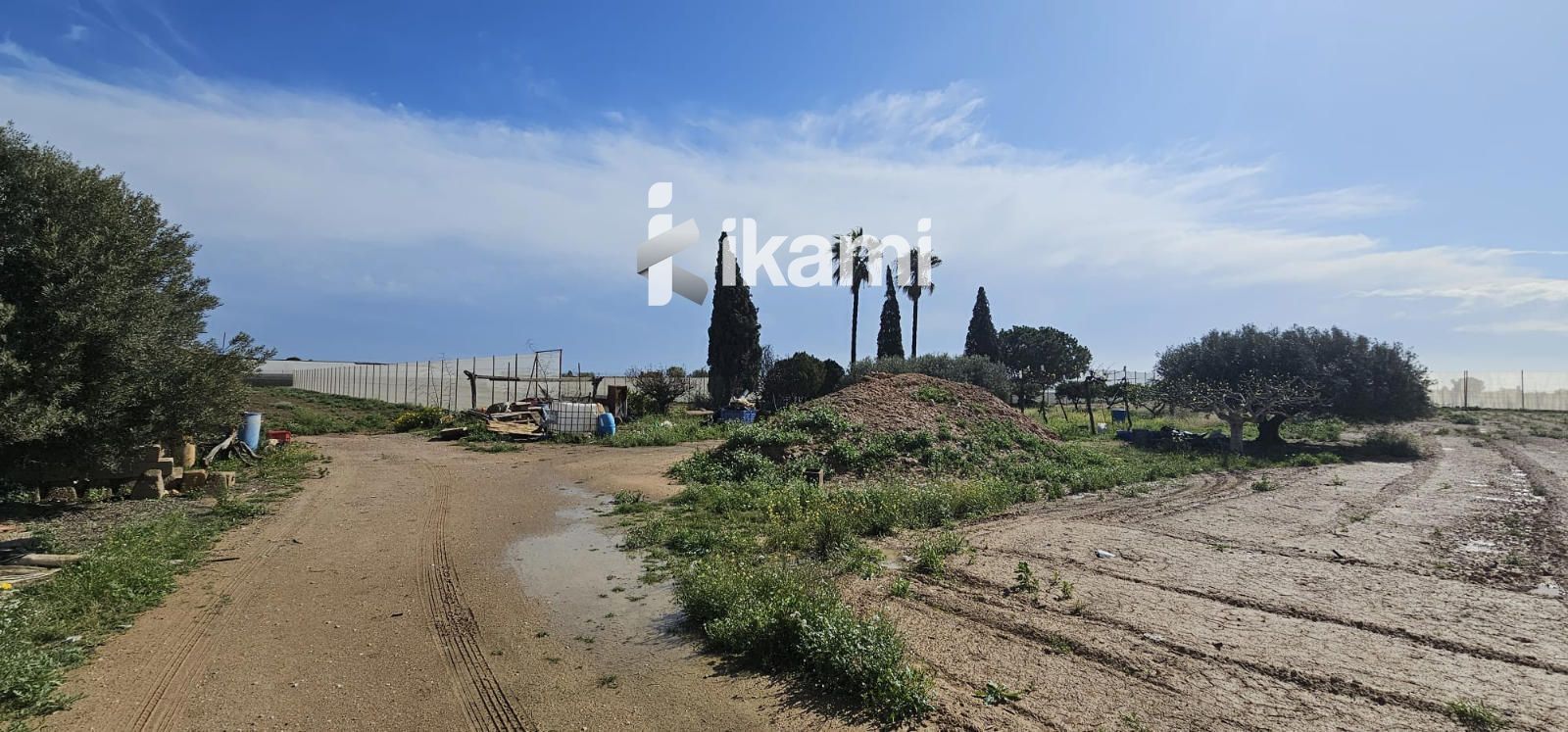 Land for sale in Torre-Pacheco