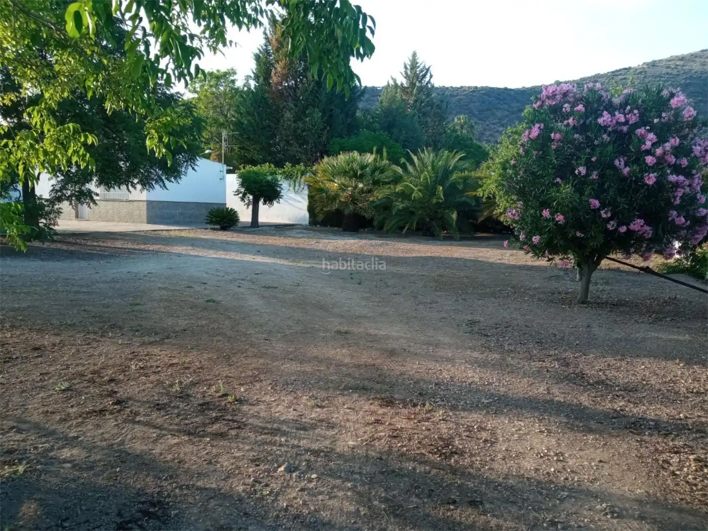 Maison à vendre à Calle Cristo Marroquí 466, imagen 13