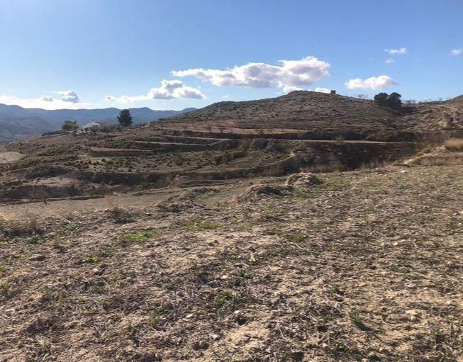 Land for sale in Lorca