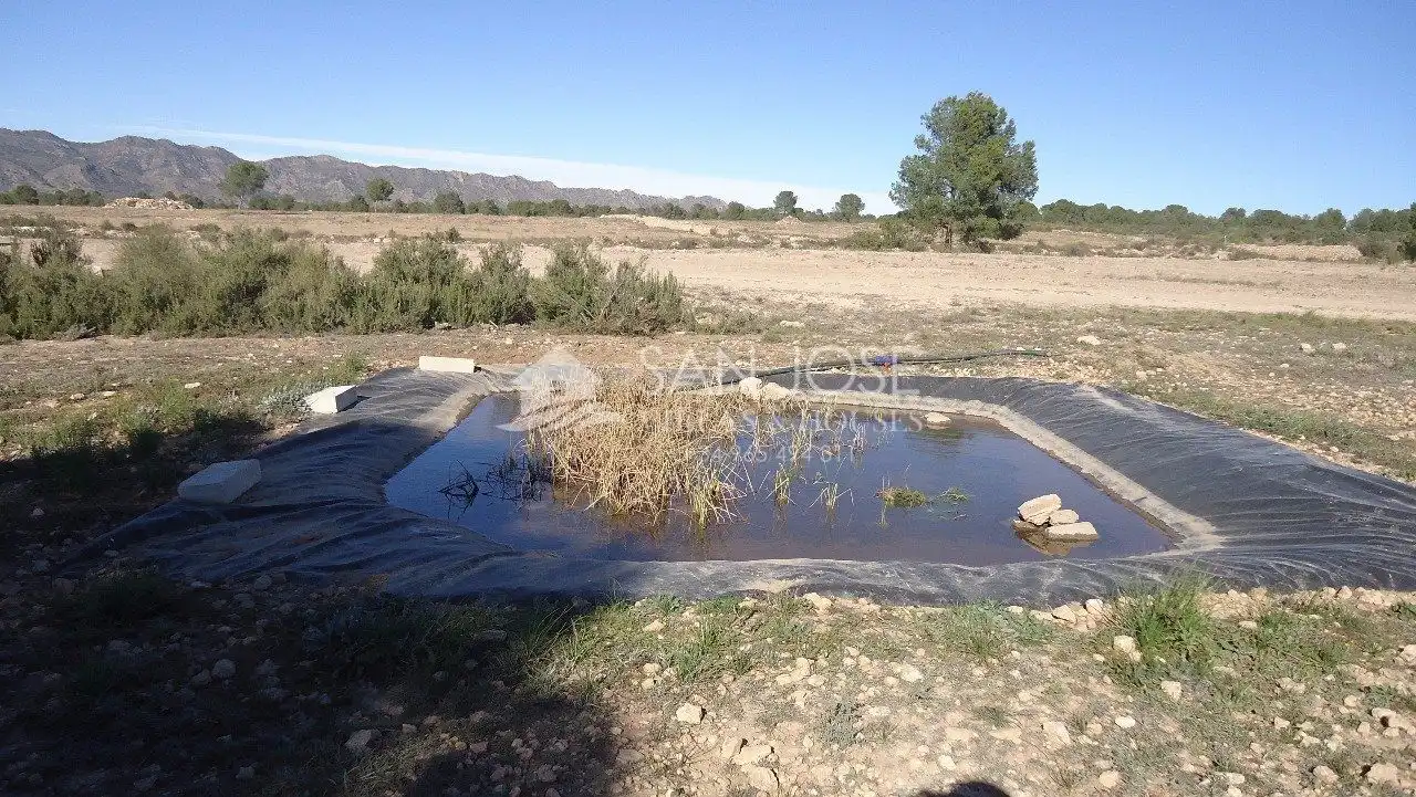 Finca rústica en venda en Yecla