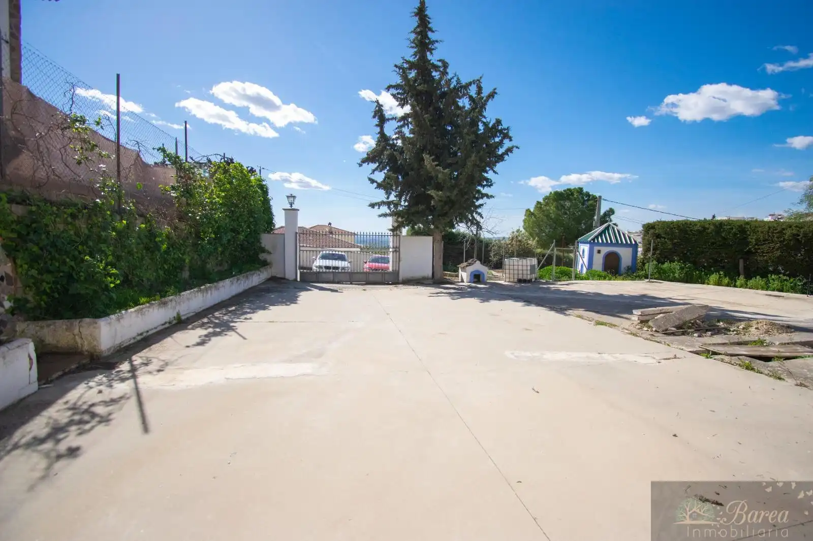 House for sale in Rute, imagen 19