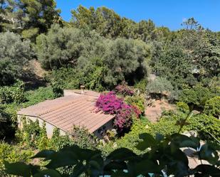 Jardí de Casa o xalet en venda en Esporles amb Aire condicionat, Terrassa i Piscina