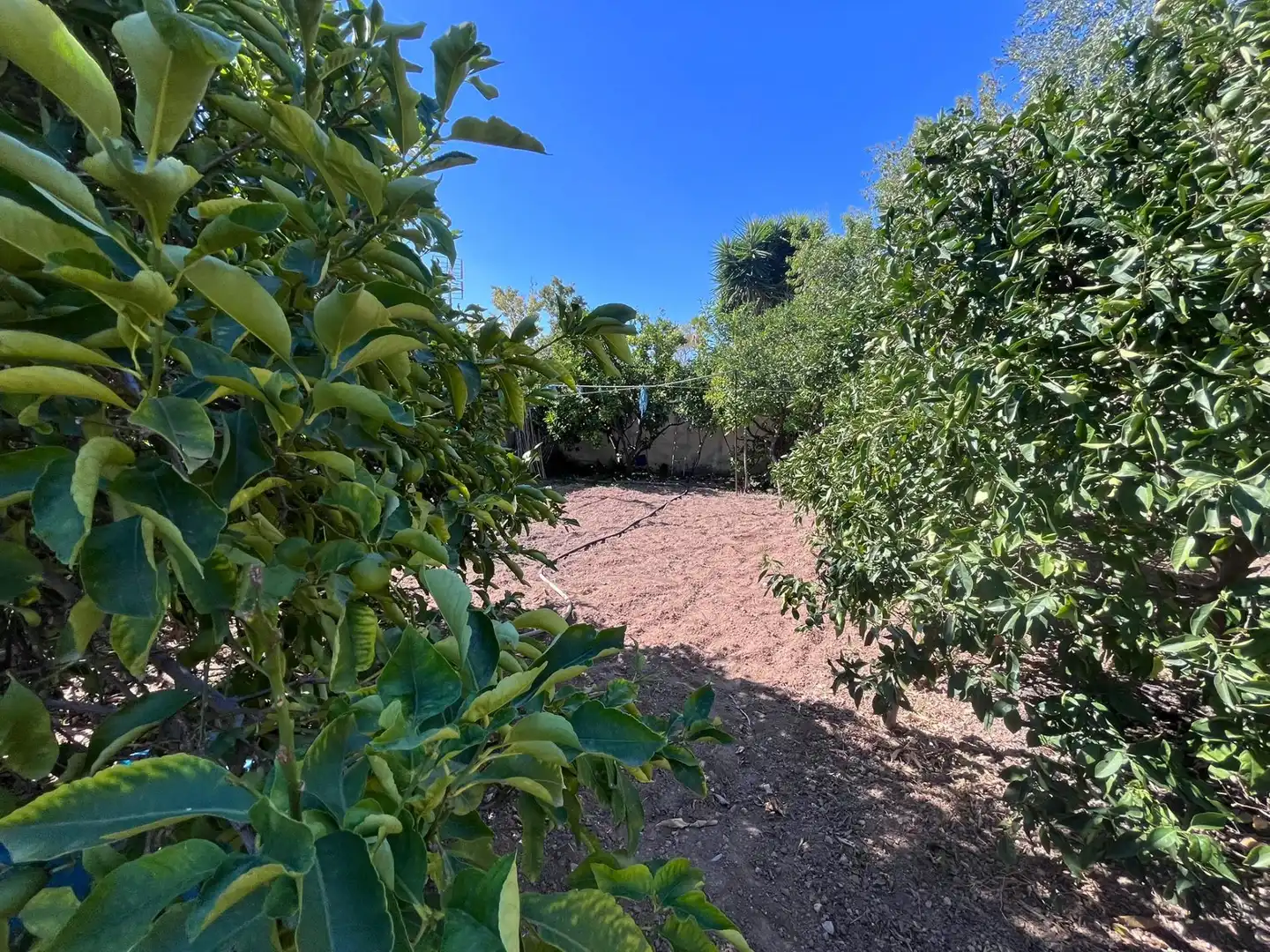 Terrain rustique à vendre à Puig Moltó - Can Macià, imagen 6