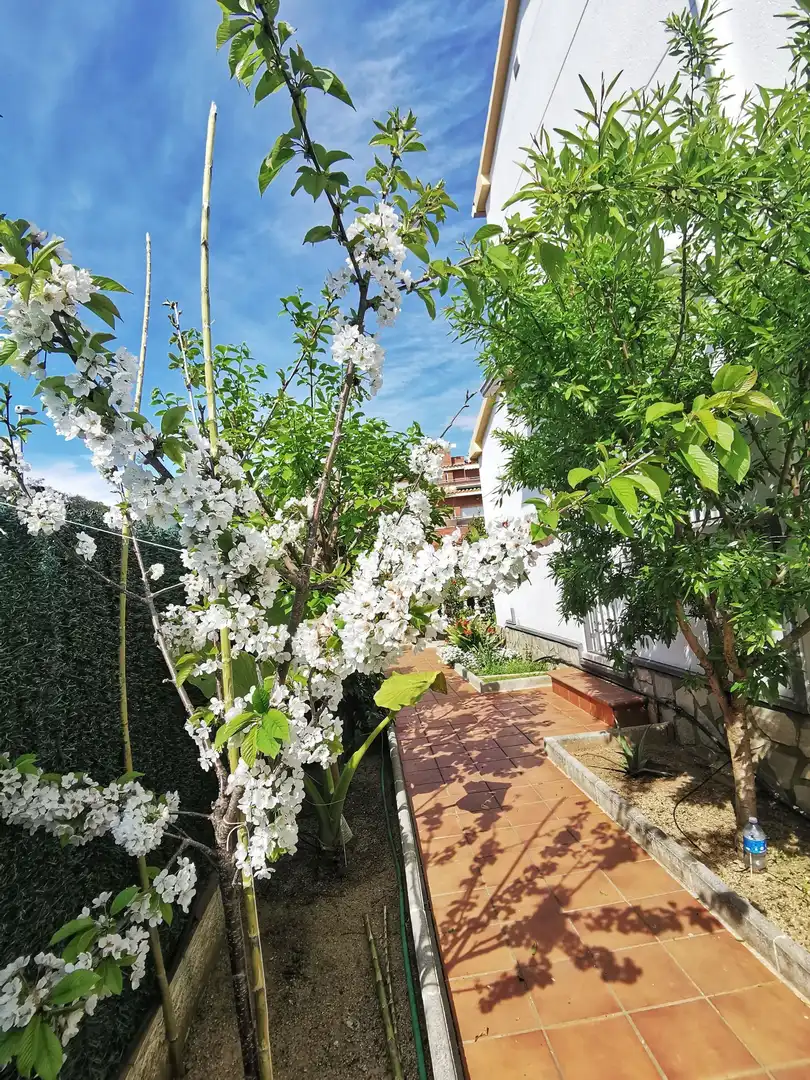 Casa con piscina en venta en Fenals, imagen 56