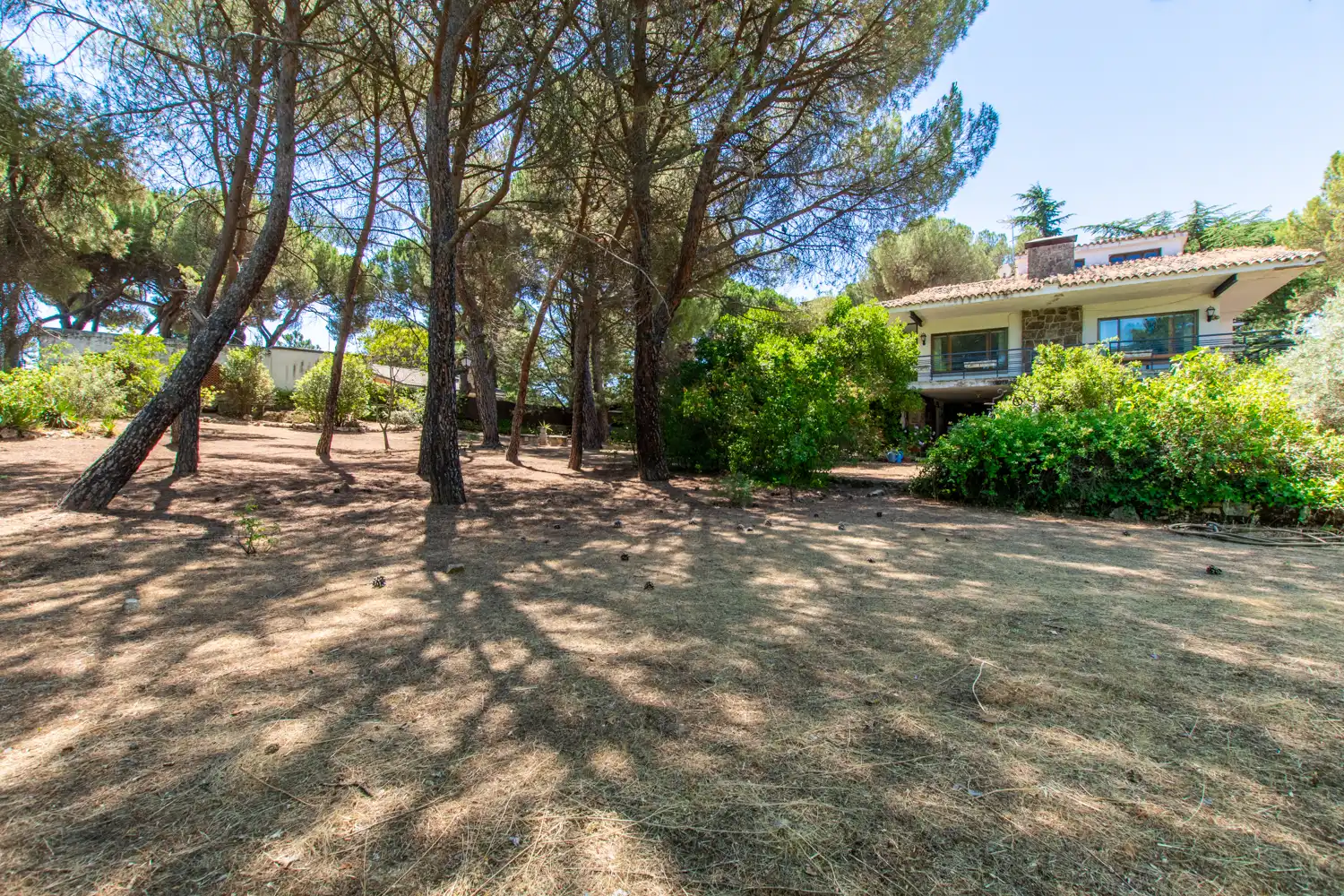 Jardí de Casa o xalet en venda en Galapagar amb Aire condicionat, Calefacció i Jardí privat
