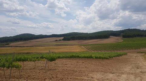 Foto 3 von Grundstücke zum Verkauf in C/ Palancona, Grávalos, La Rioja