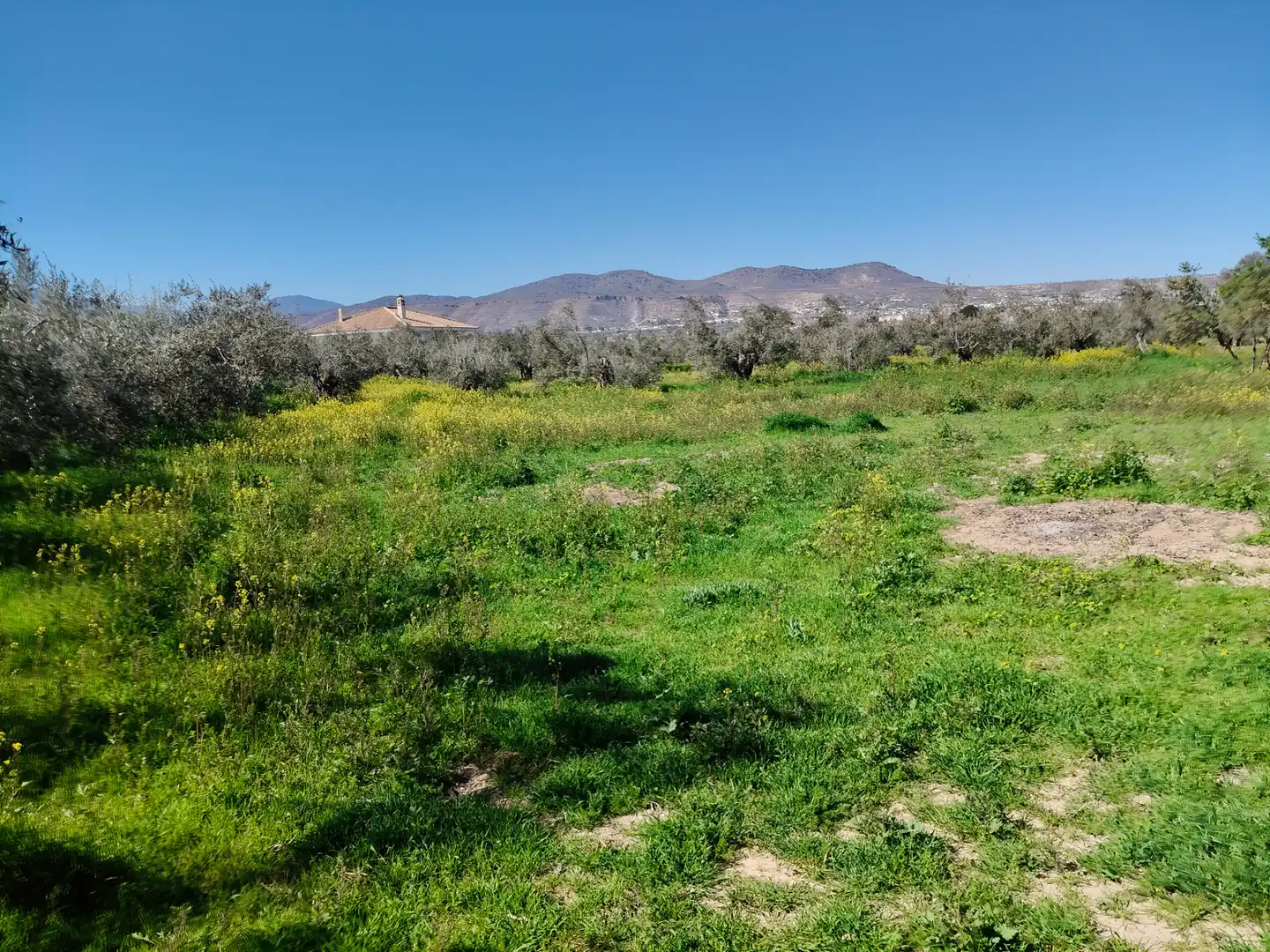 Chalet en venta en Camino Pachan 3S, imagen 45