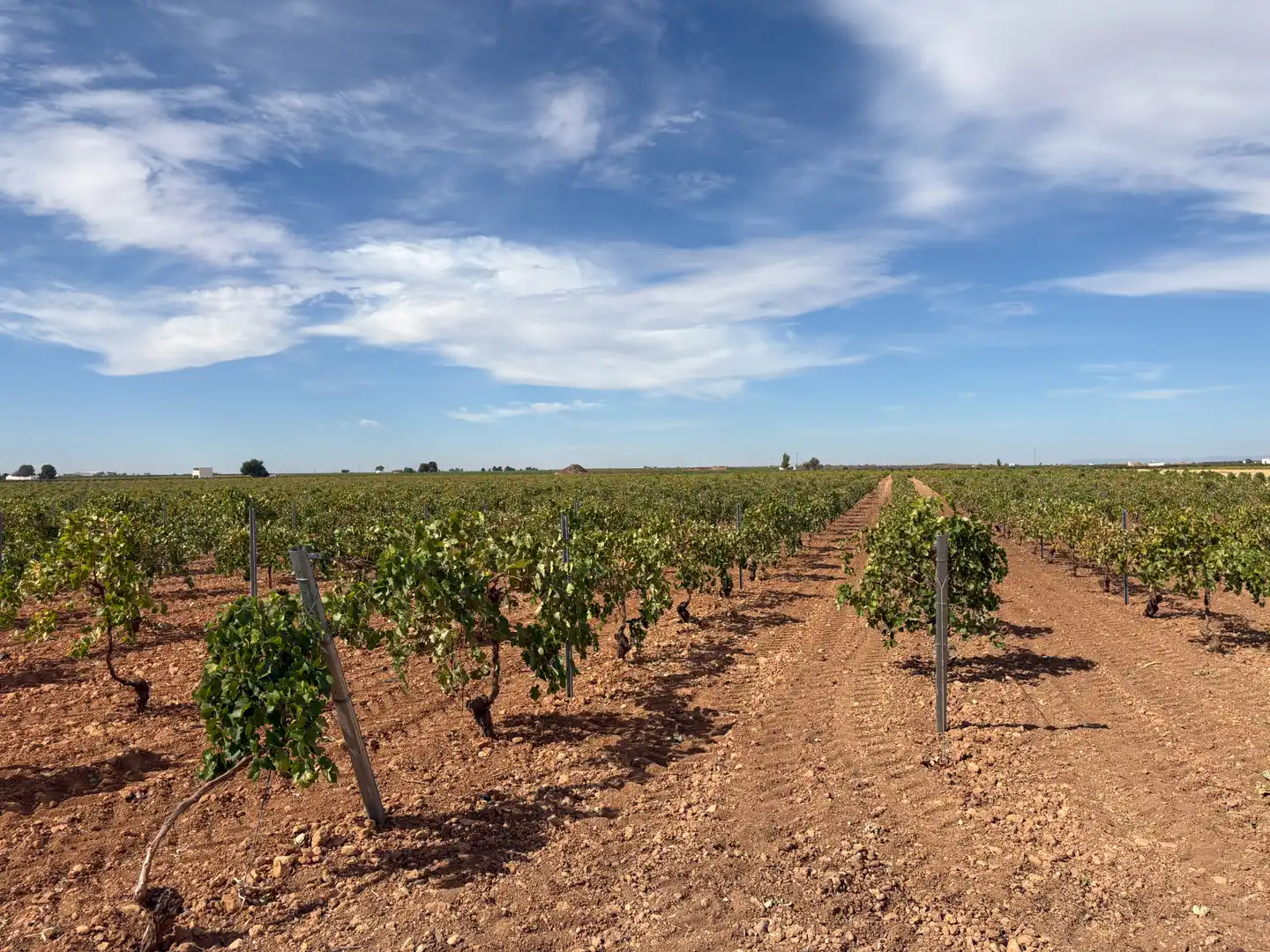 Rural land for sale in CM-400 580, imagen 44