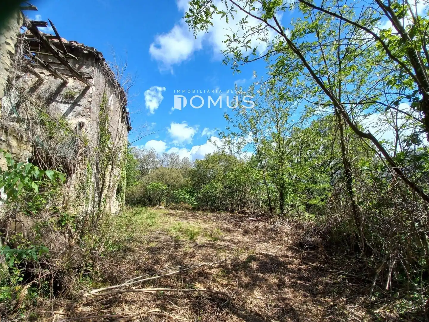 Finca rústica en venta en Sant Joan Les Fonts