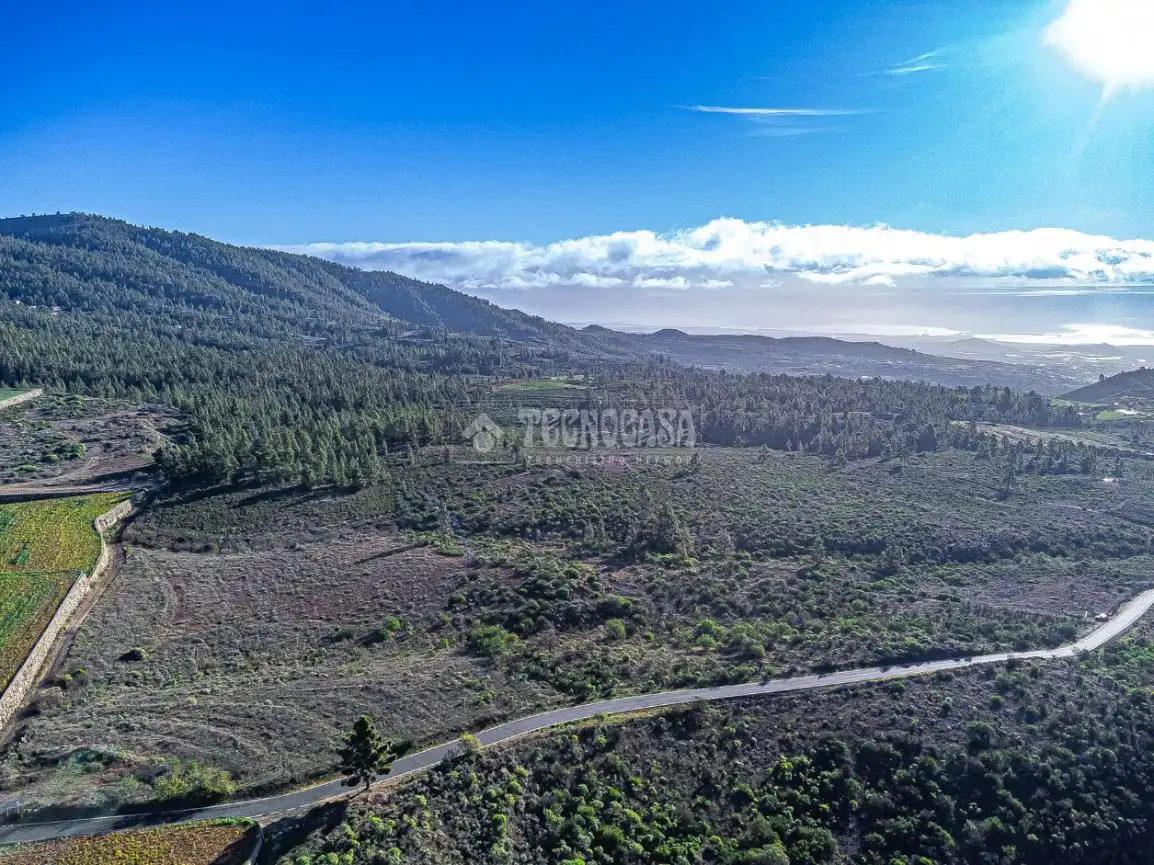 Terreno rústico en venta en Poligono 1, ERA VERDE, VILAFLOR DE CHASNA, imagen 8