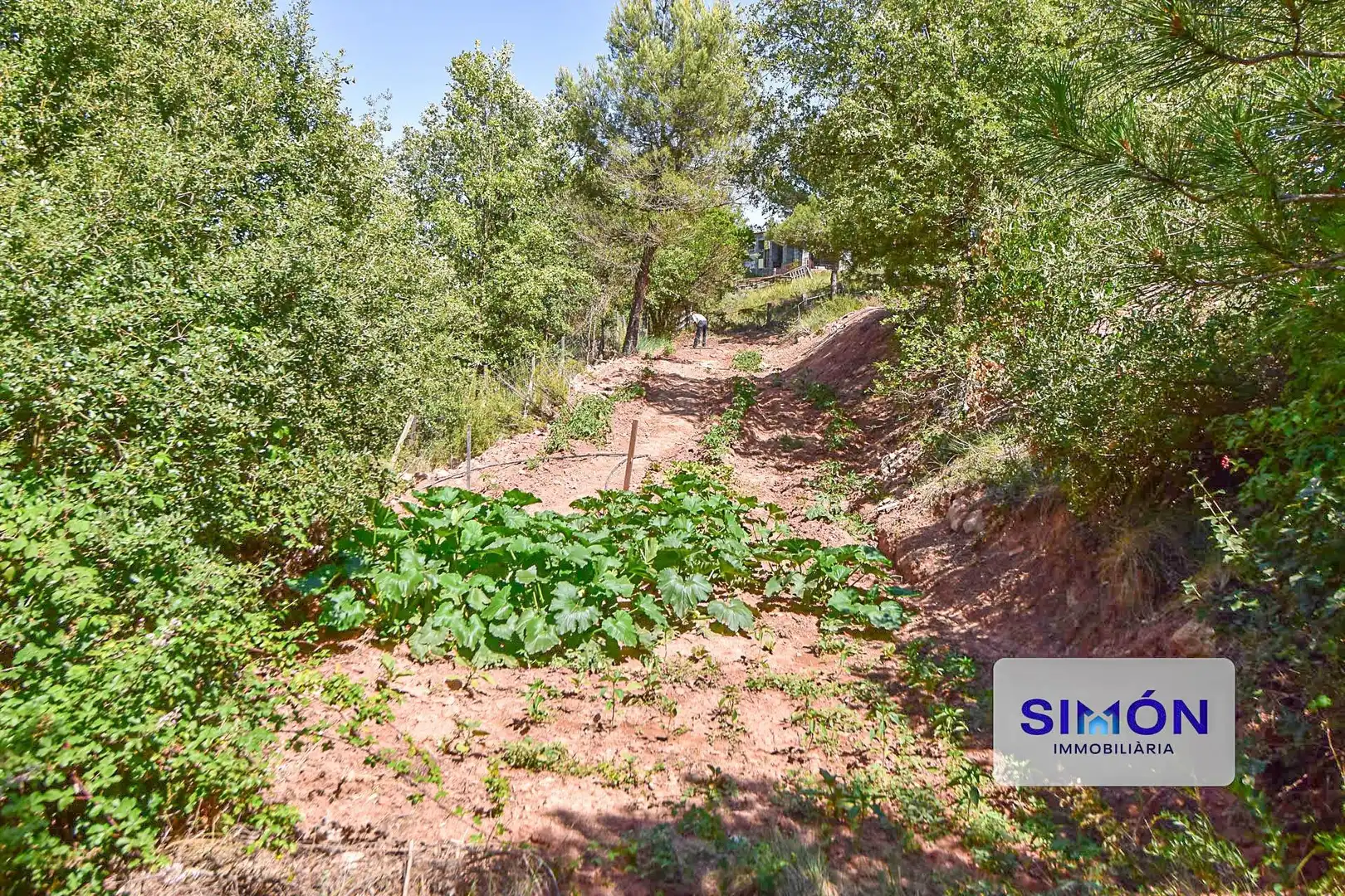 Finca rústica en venda en Sant Pere Sallavinera amb Aire condicionat, Calefacció i Terrassa