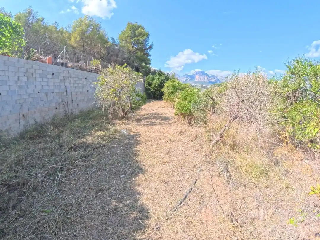 Terrain rustique à vendre à Partida Sentenilla 7, imagen 2