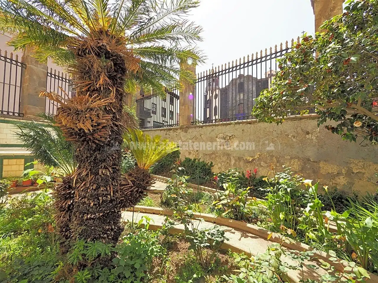 Garden of Houses for sale in La Orotava  with Private garden and Terrace