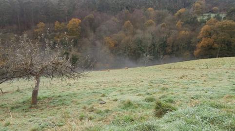 Photo 3 of House or chalet for sale in Las Regueras  , Asturias