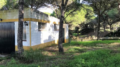 Foto 4 de Finca rústica en venda a Las Lagunas - Campano, Cádiz