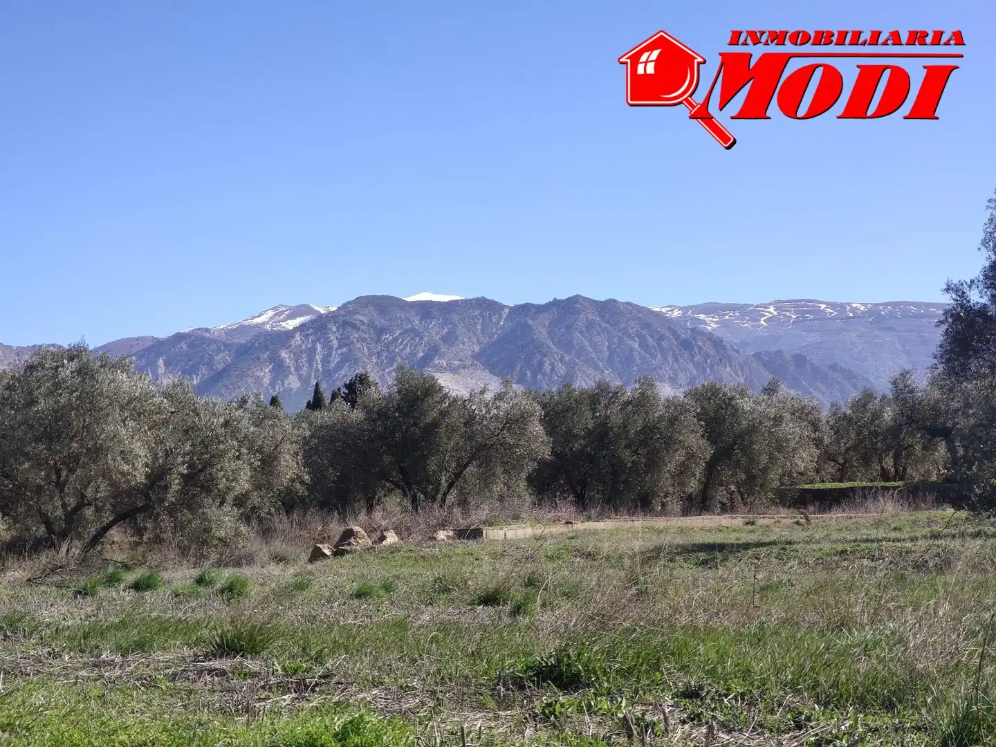 Terrenys i solars en venda a Villamena, imagen 16
