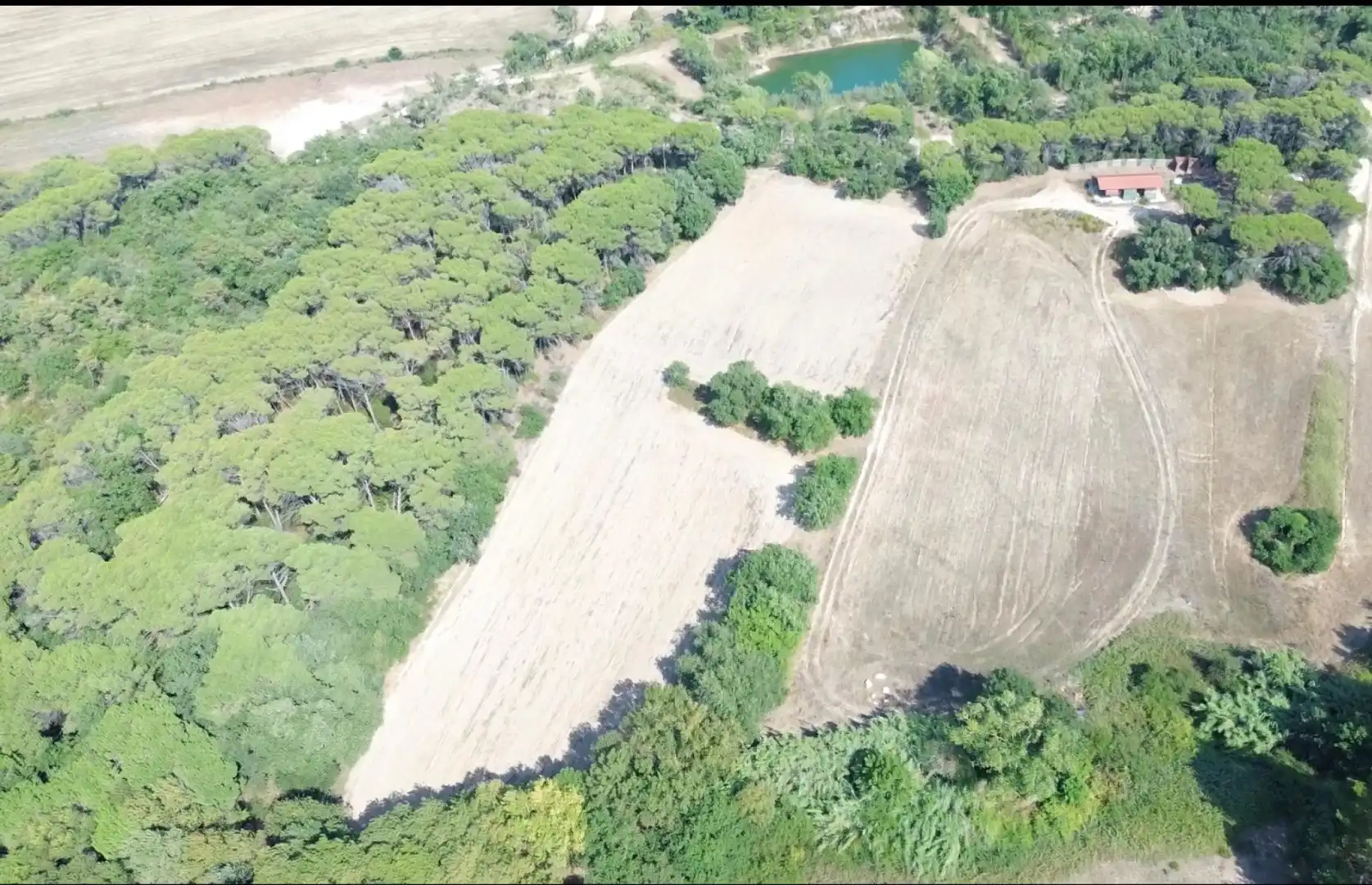Terreno rústico en venta en Aiguaviva Parc, imagen 3