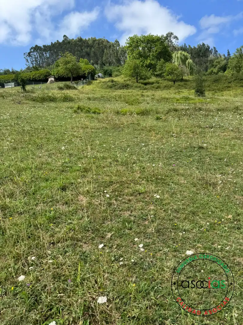Terreny en venda en Villaviciosa