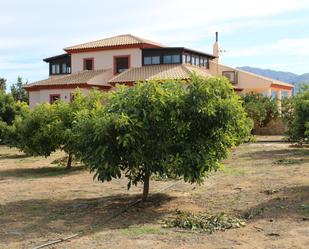 Jardí de Finca rústica en venda en Alhaurín de la Torre amb Aire condicionat, Terrassa i Piscina