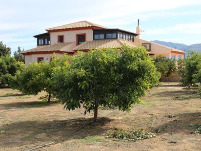 Jardí de Finca rústica en venda en Alhaurín de la Torre amb Aire condicionat, Terrassa i Piscina