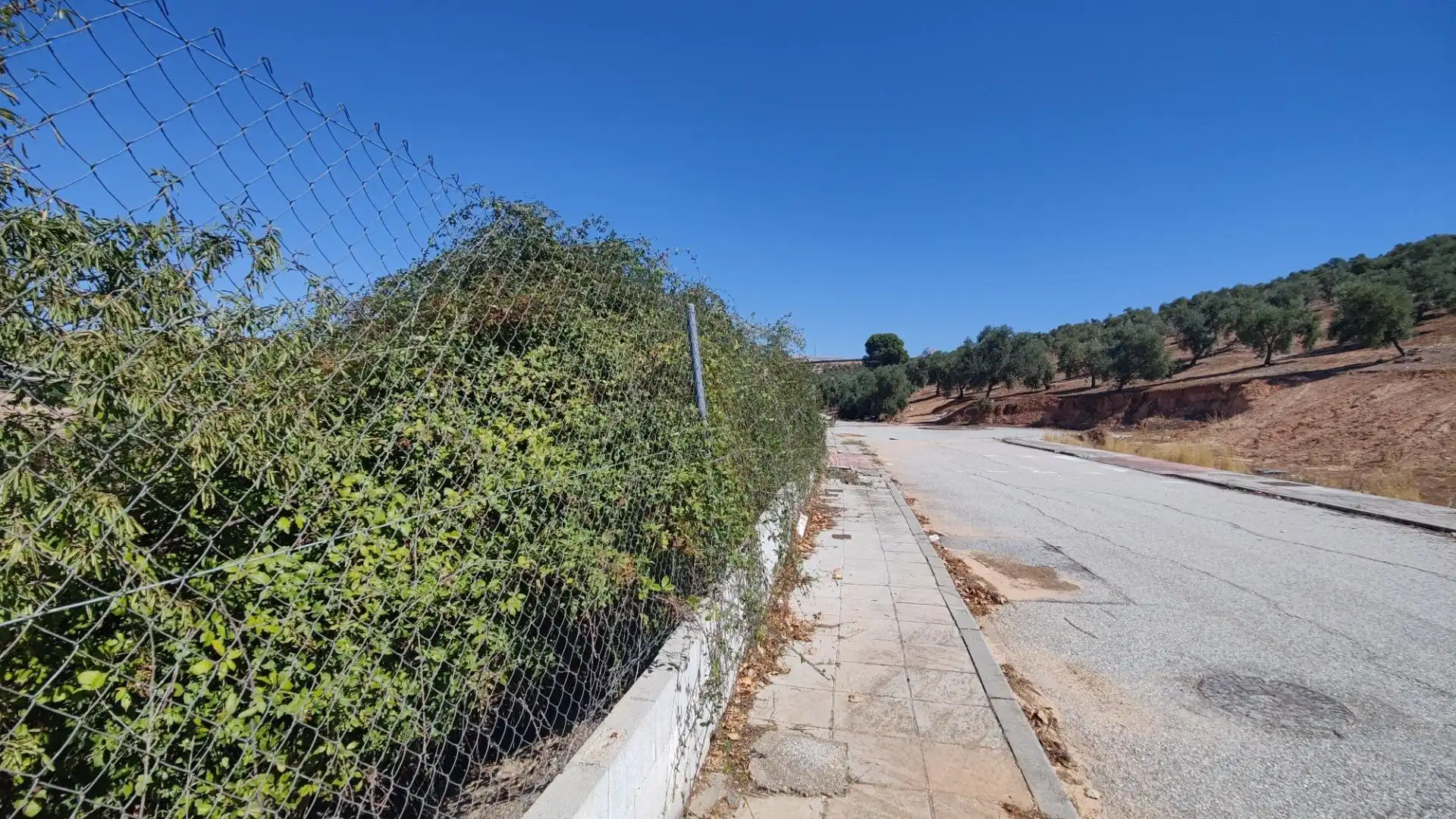 Terrenos y solares en venta en Centro de Albolote, imagen 4