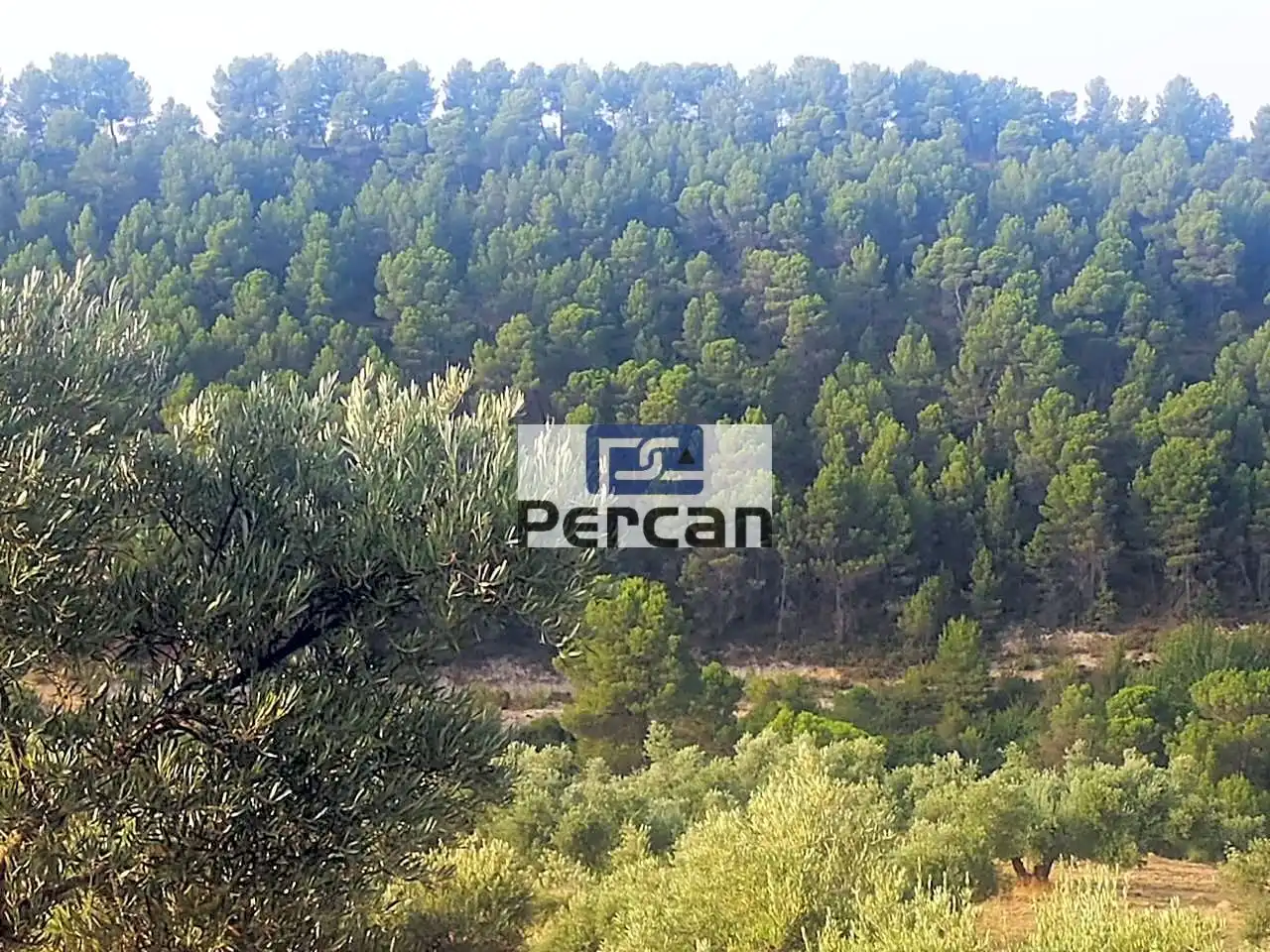 Residencial en venta en Cortes de Baza