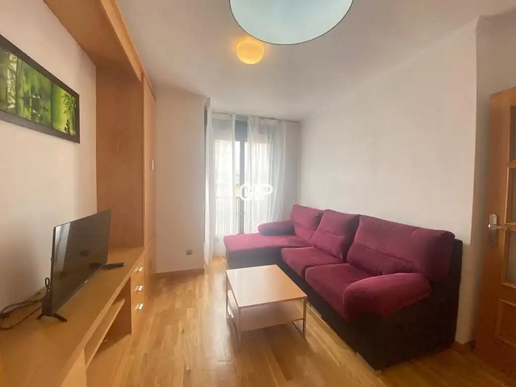 Living room of Apartments for rent in Madrid  with Air Conditioner, Heating and Furnished