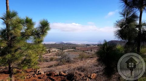 Foto 2 de Finca rústica en venda a Camino Los Cortados, Vilaflor de Chasna, Santa Cruz de Tenerife