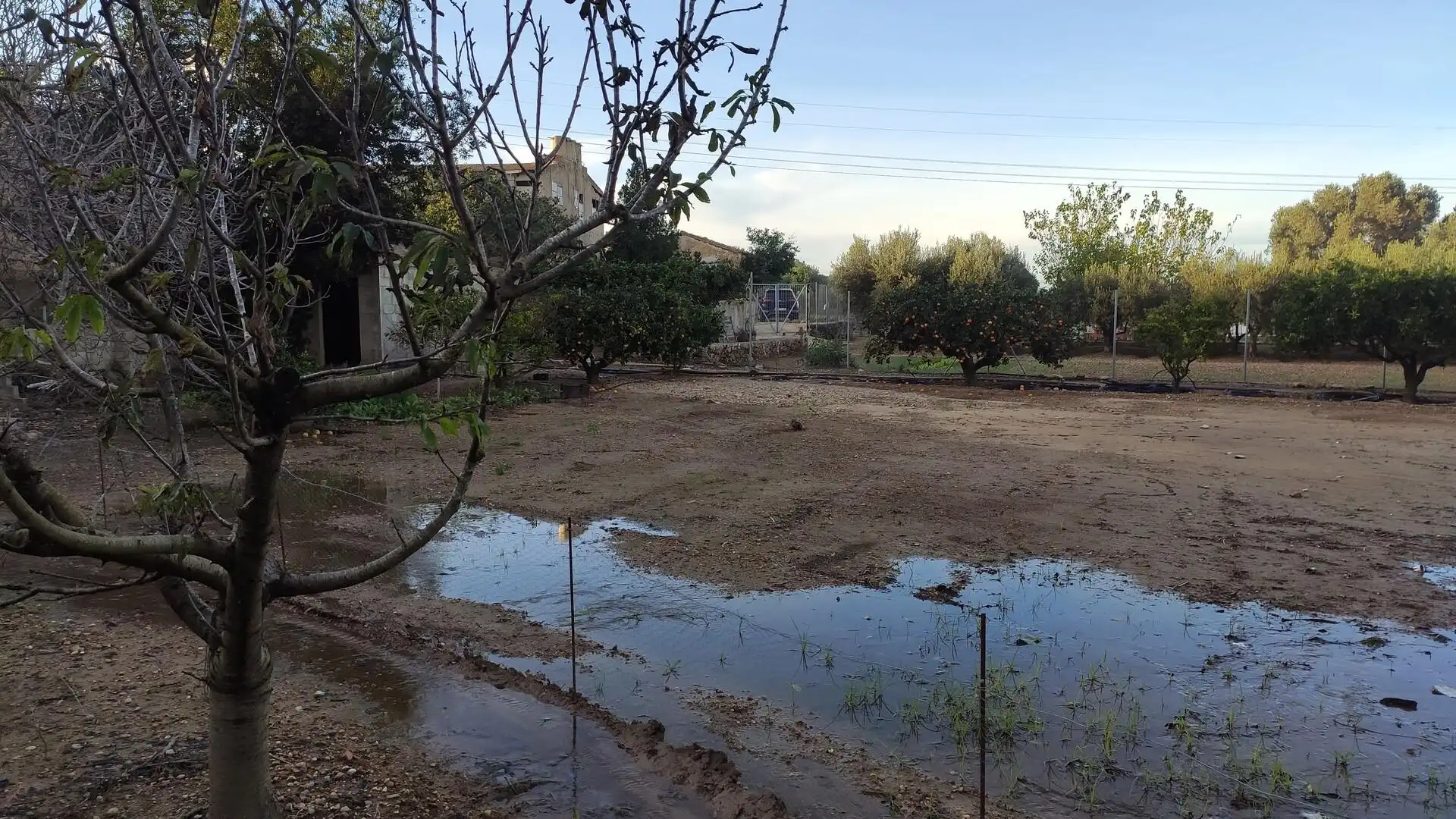 Finca rústica en venta en Amposta