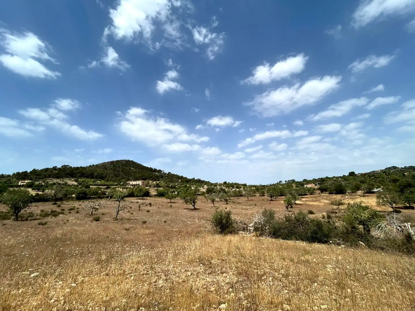 Terreny en venda en Santanyí
