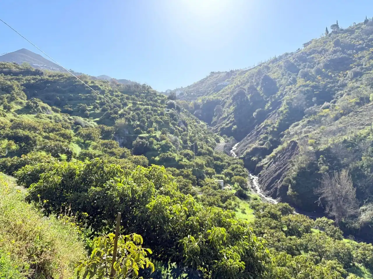 Exterior view of Land for sale in Canillas de Albaida