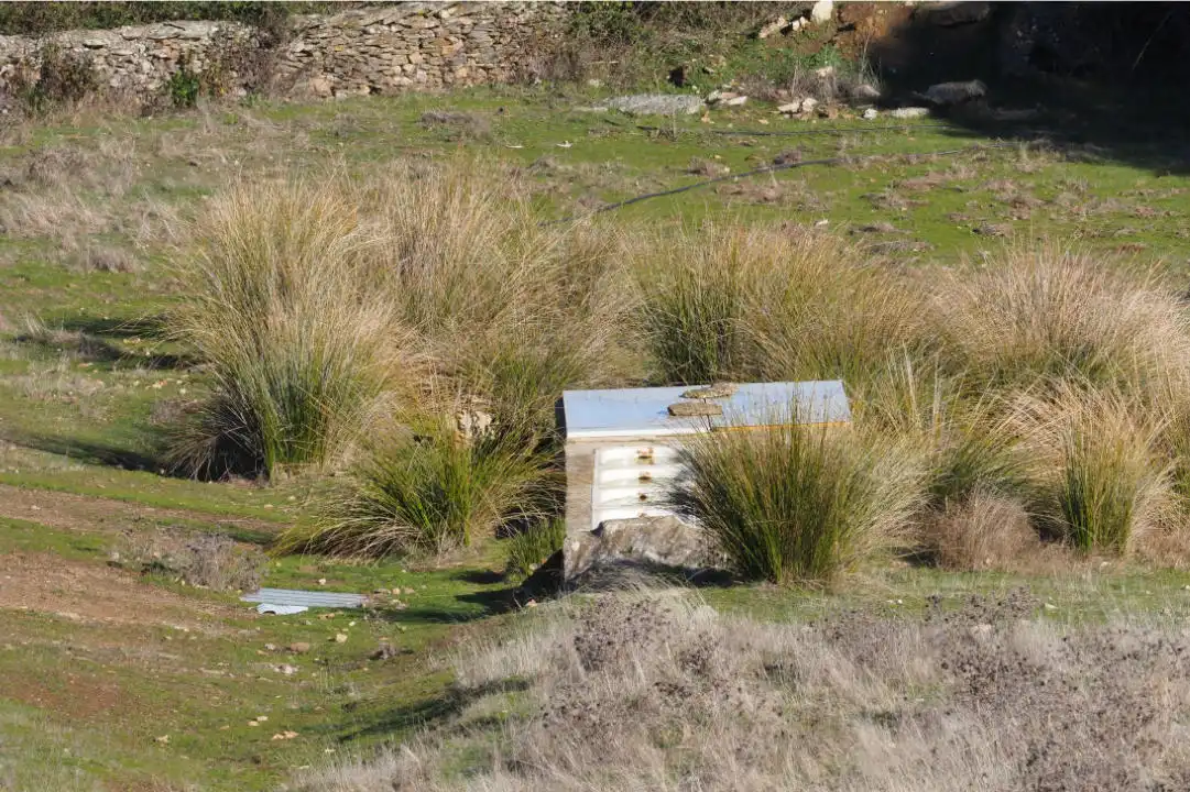 Jardín de Terreno en venta en Puerto de Béjar