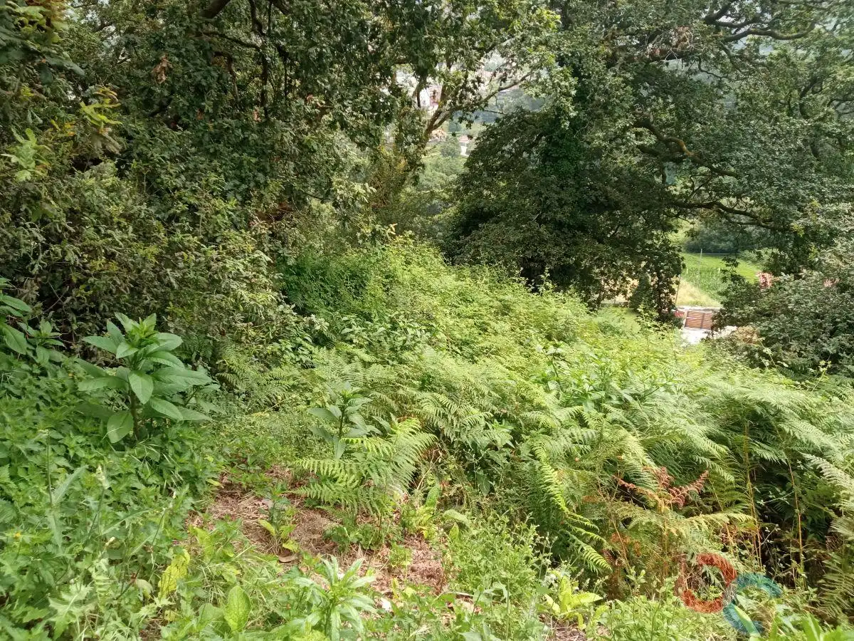 Country homes for sale in Marín