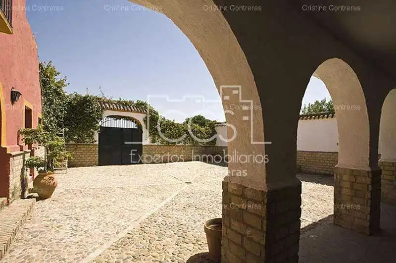 Vista exterior de Finca rústica en venta en Alcalá de Guadaira con Jardín privado y Piscina