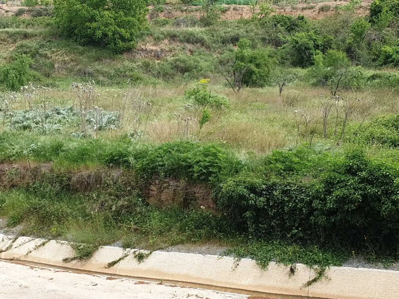 Houses for sale in Paracuellos de la Ribera